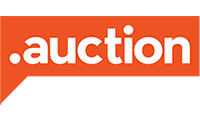 auction domain name