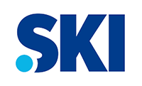 ski domain name